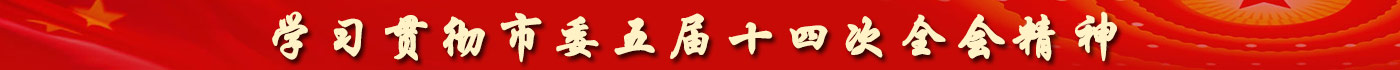 学习贯彻自治区党委十三届十次全会精神