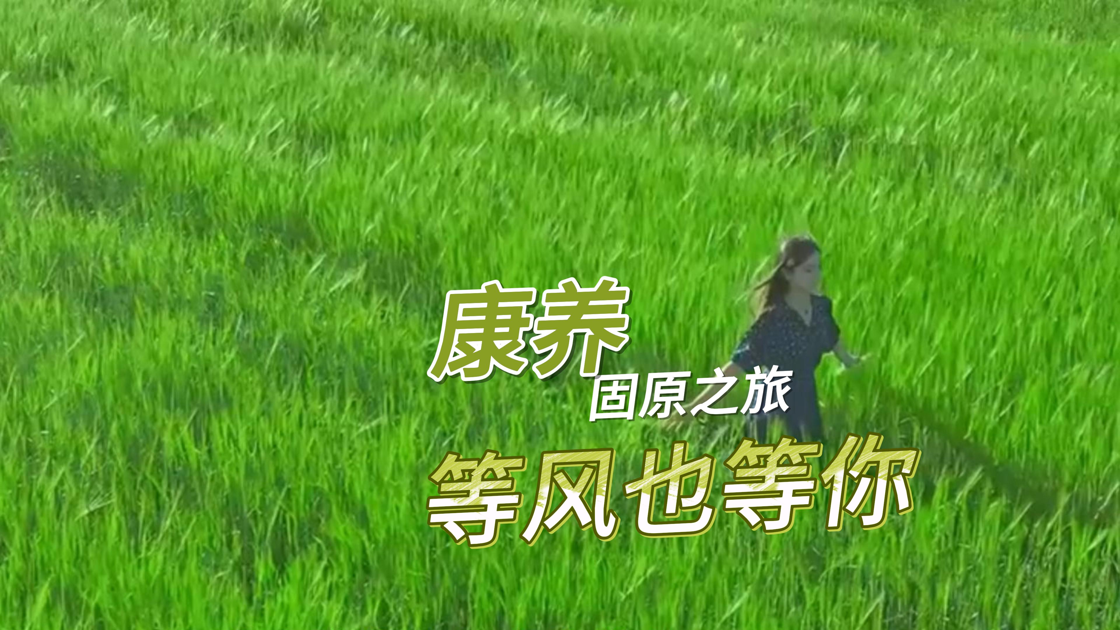 康養(yǎng)固原之旅,，等風也等你