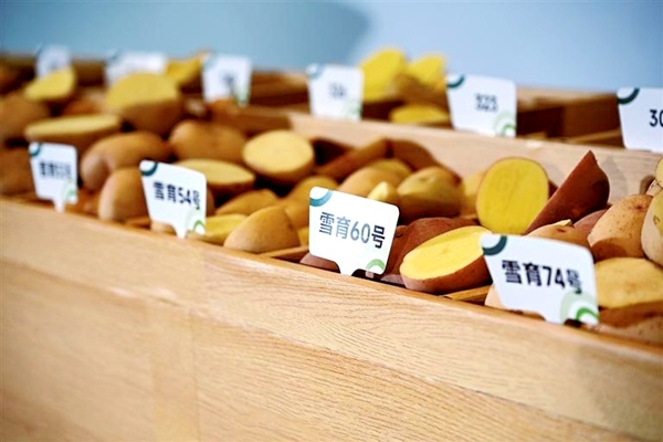 六盘山土特产有了“国际范”